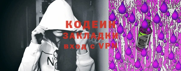 крисы Лабытнанги